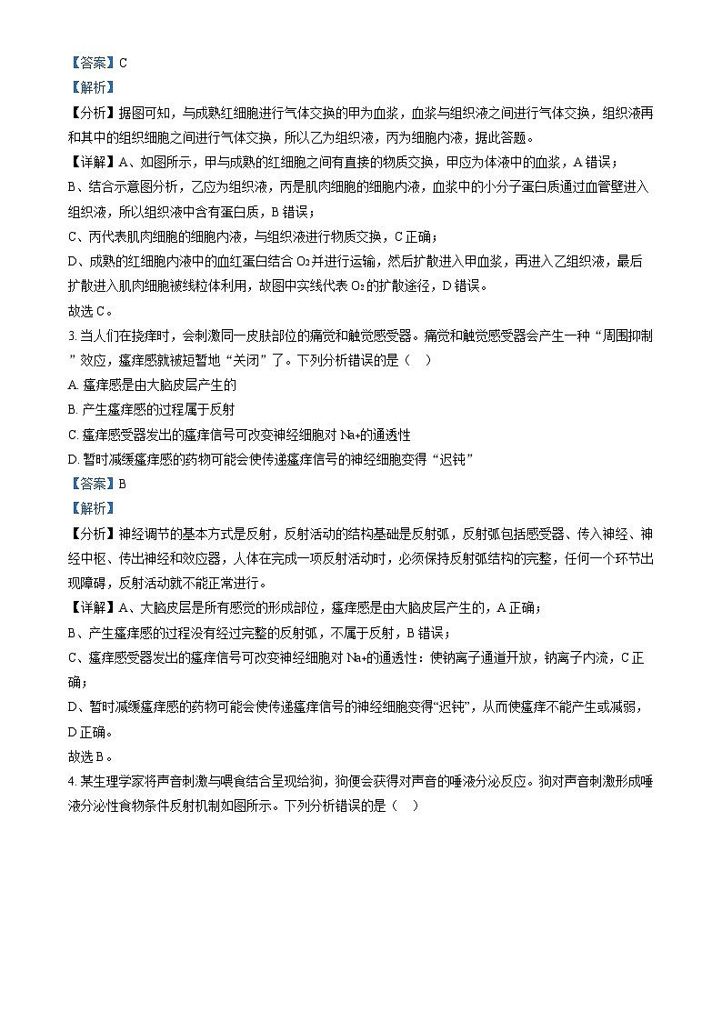 2023-2024学年山西省朔州市怀仁市第九中学高中部高二上学期11月期中生物试题含答案02