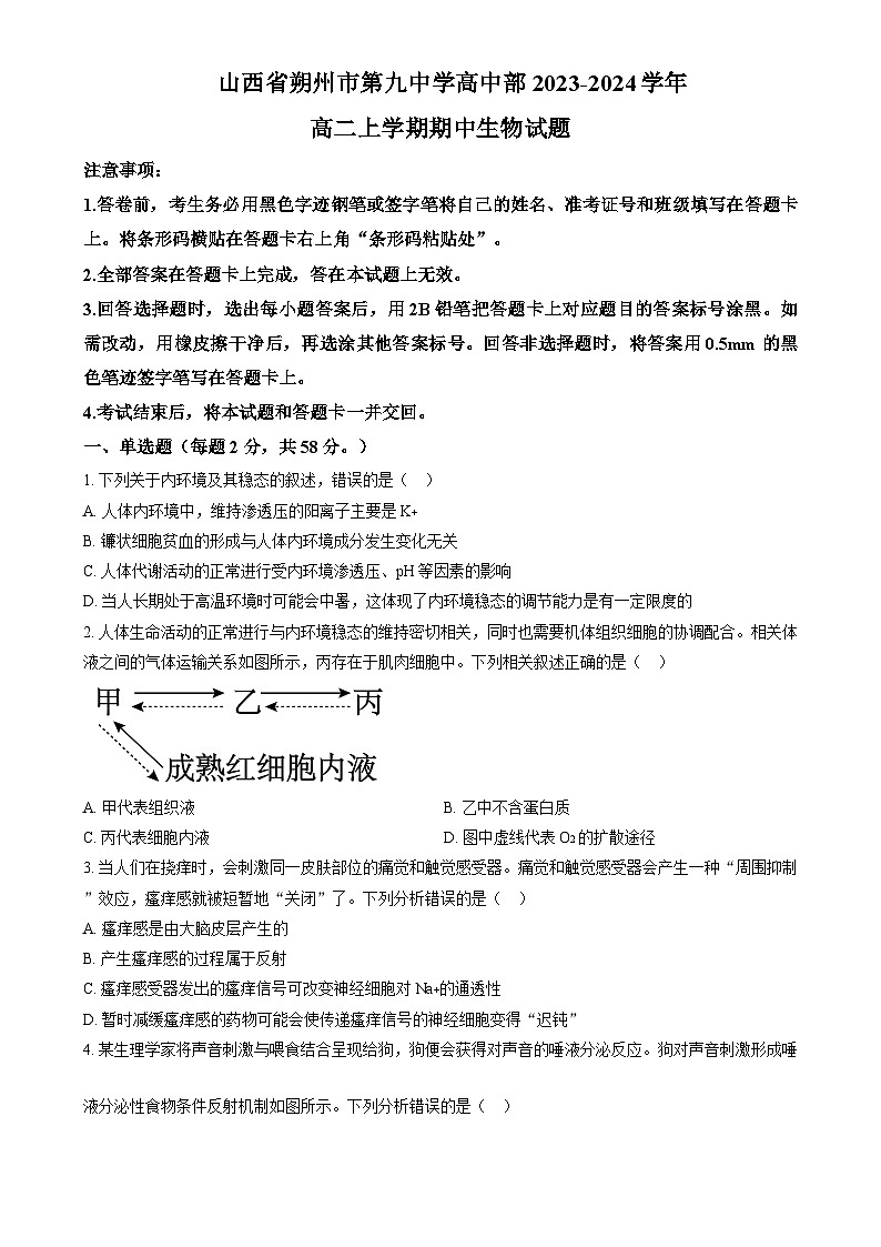 2023-2024学年山西省朔州市怀仁市第九中学高中部高二上学期11月期中生物试题含答案01
