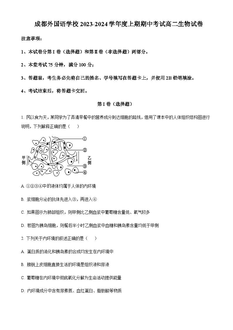 四川省成都外国语学校2023-2024学年高二11月期中生物试题  Word版无答案第1页