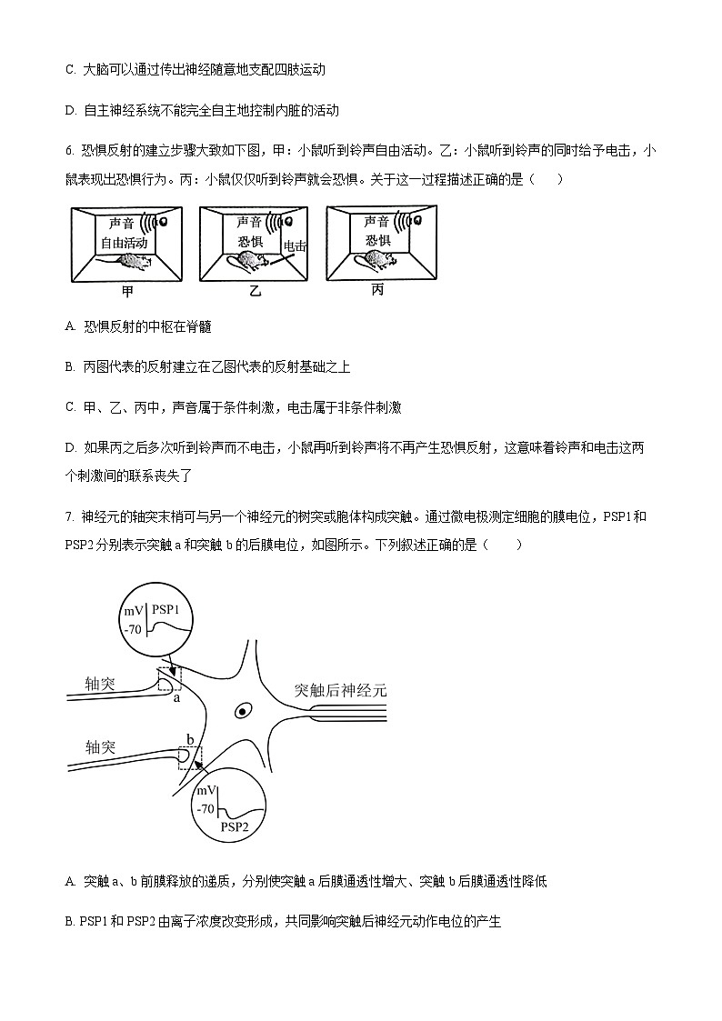 四川省成都外国语学校2023-2024学年高二11月期中生物试题  Word版无答案第3页