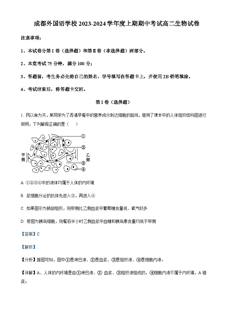 四川省成都外国语学校2023-2024学年高二11月期中生物试题  Word版含解析第1页