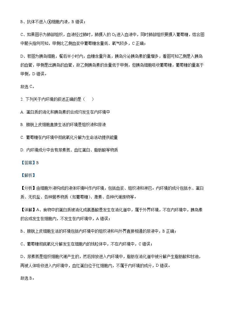四川省成都外国语学校2023-2024学年高二11月期中生物试题  Word版含解析第2页