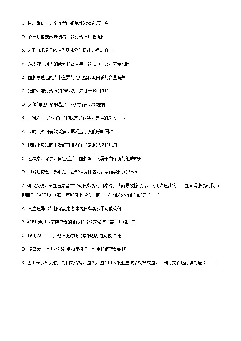 2023-2024学年四川省合江县马街中学高二上学期11月期中考试生物试题含答案02