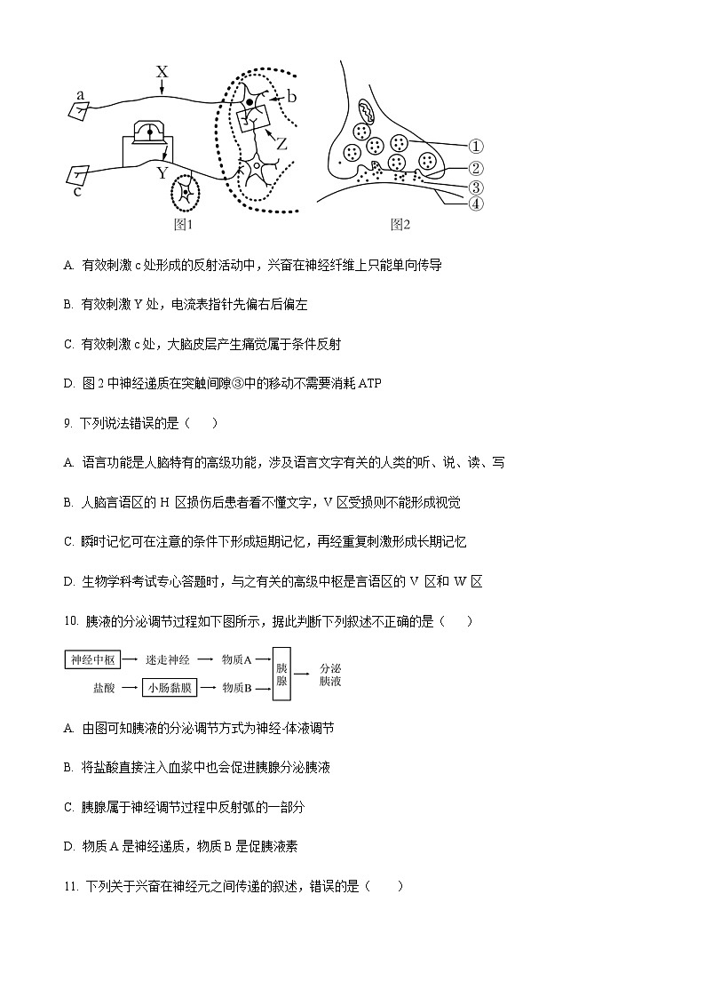 2023-2024学年四川省合江县马街中学高二上学期11月期中考试生物试题含答案03