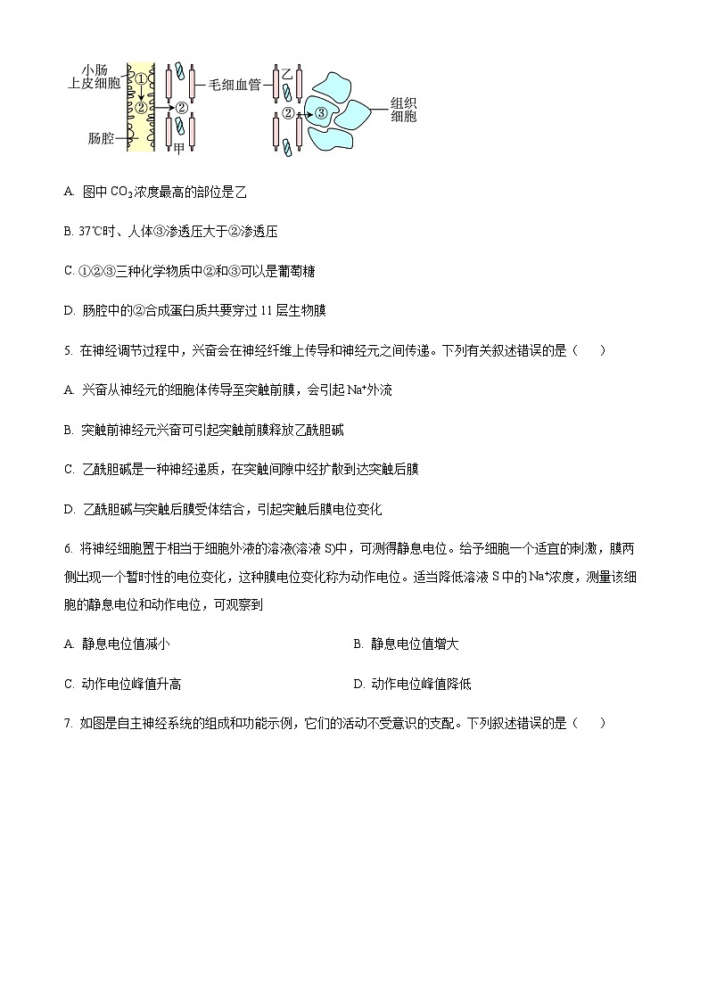 2023-2024学年四川省眉山市仁寿一中（北校区）高二11月期中生物试题含答案02