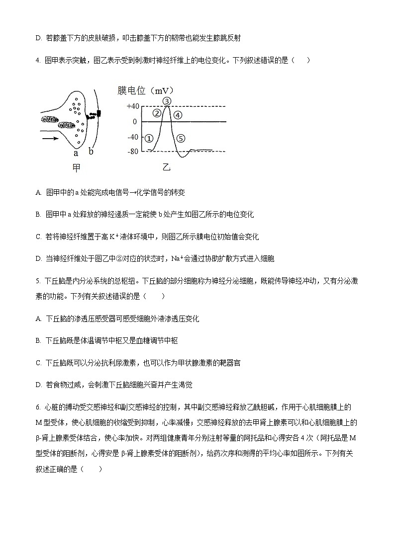 四川省绵阳南山中学实验学校2023-2024学年高二11月期中生物试题  Word版无答案第2页