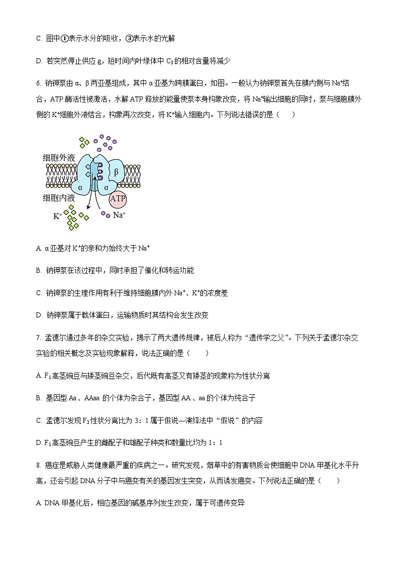 2023-2024学年四川省南充高级中学高二上学期11月期中考试生物试题含答案03
