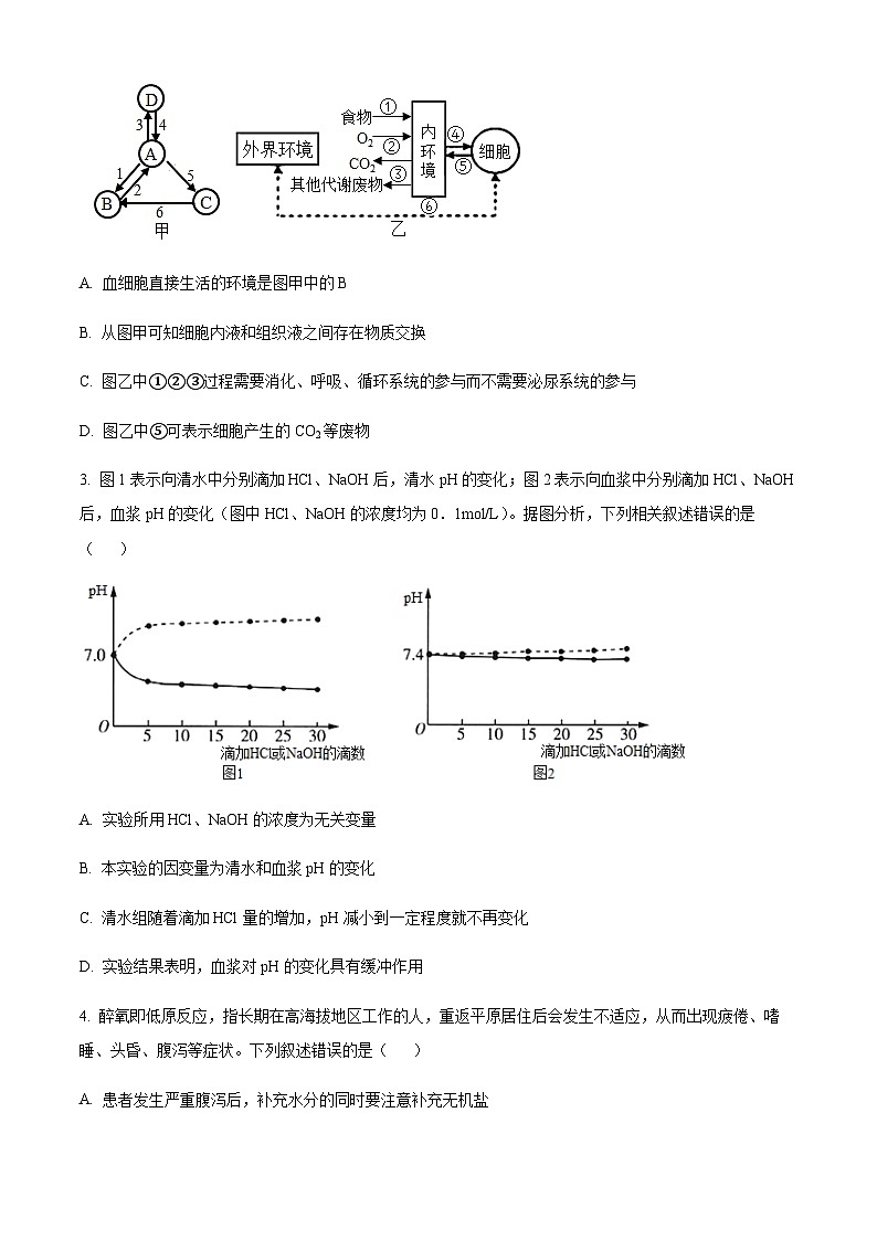 2023-2024学年四川省遂宁市射洪中学校高二11月期中生物试题含答案02