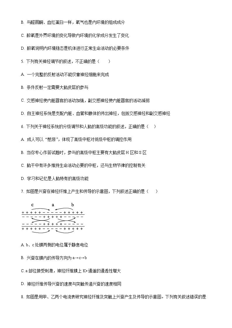 2023-2024学年四川省遂宁市射洪中学校高二11月期中生物试题含答案03