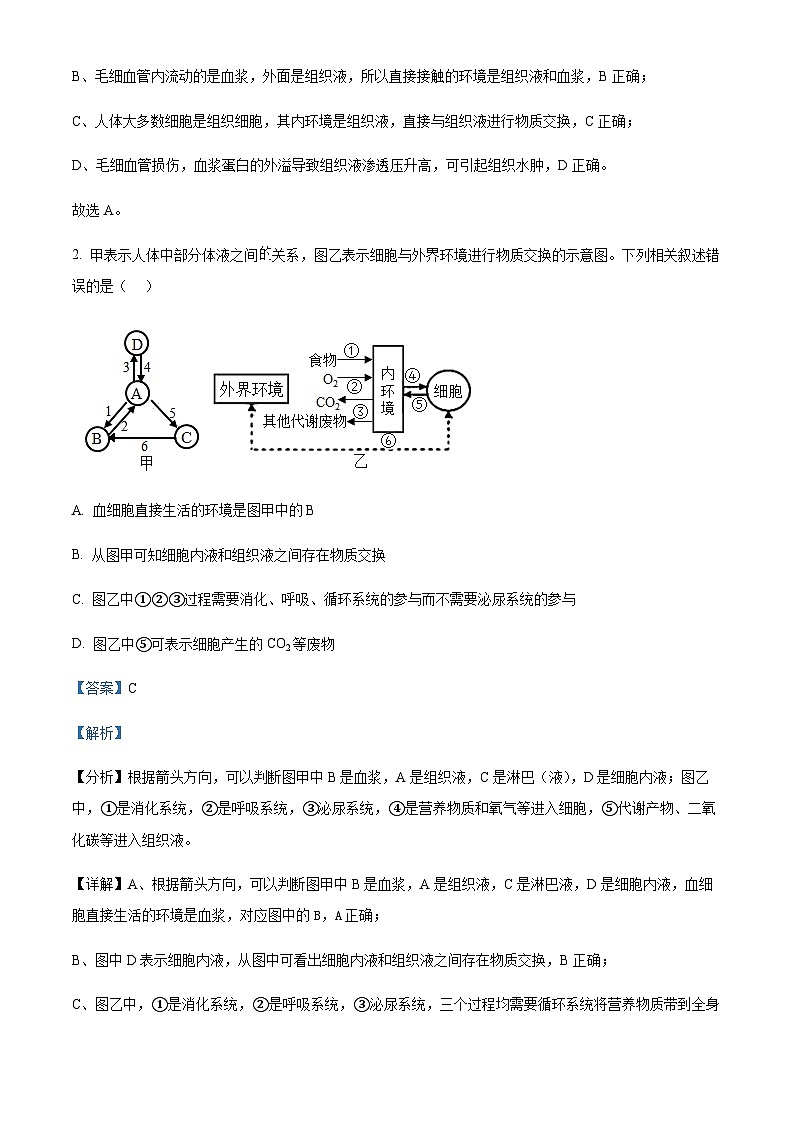 2023-2024学年四川省遂宁市射洪中学校高二11月期中生物试题含答案02
