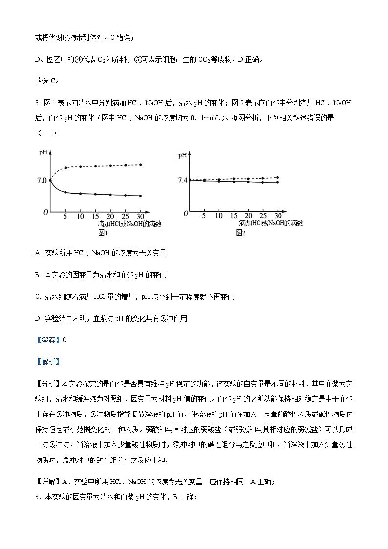 2023-2024学年四川省遂宁市射洪中学校高二11月期中生物试题含答案03