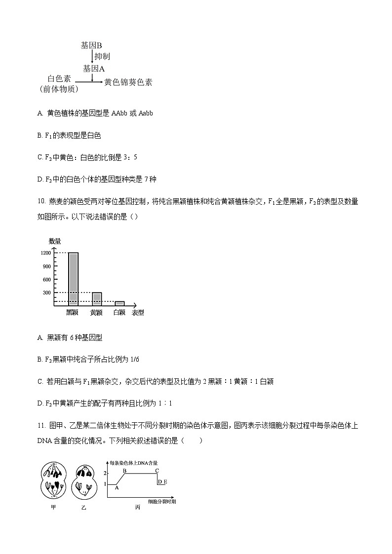 黑龙江省哈尔滨市四中2023-2024学年高二上学期第一次月考 生物 Word版试题第3页