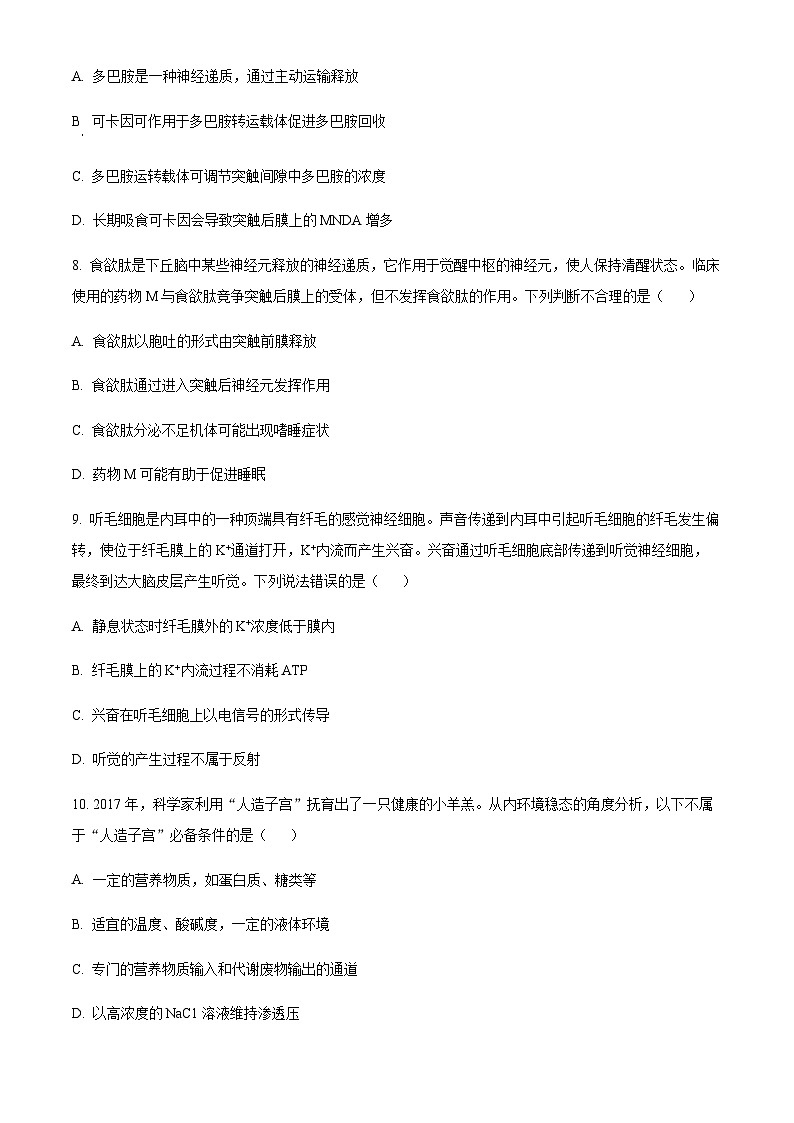 2023-2024学年湖南省邵阳市洞口县第二中学高二上学期第一次月考生物试题含答案03