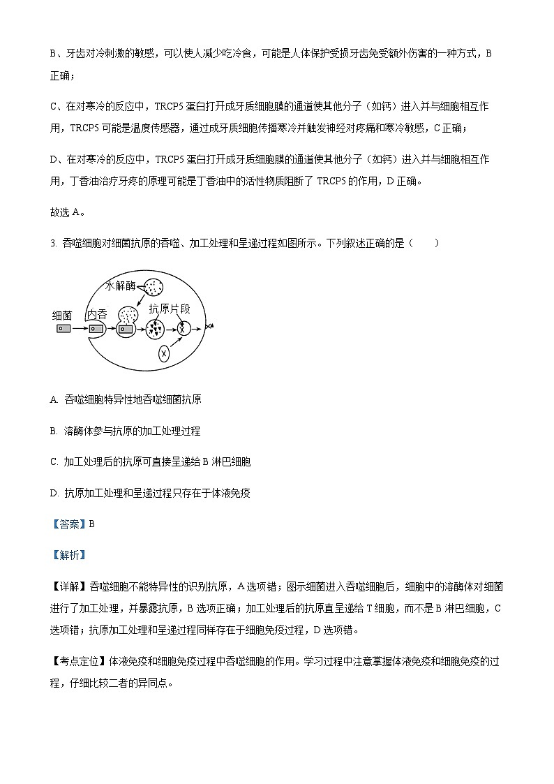 四川省遂宁市射洪中学2023-2024学年高二上学期11月月考生物试题 Word版含解析第3页