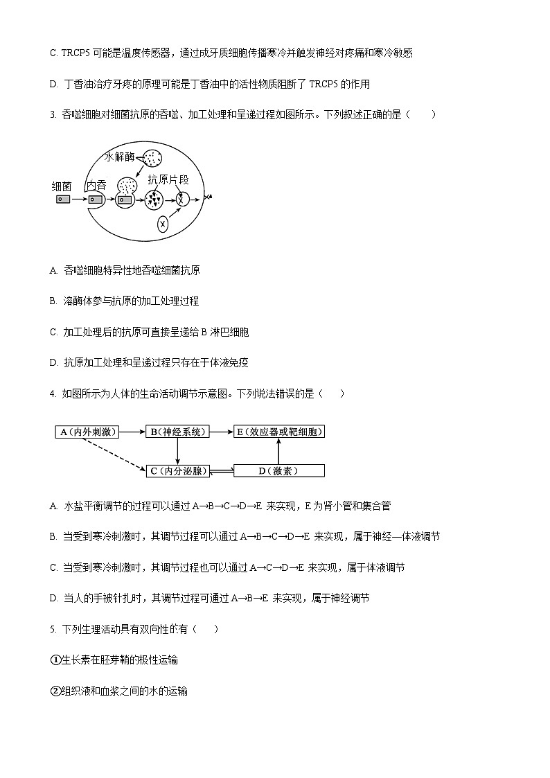 四川省遂宁市射洪中学2023-2024学年高二上学期11月月考生物试题（原卷版）第2页