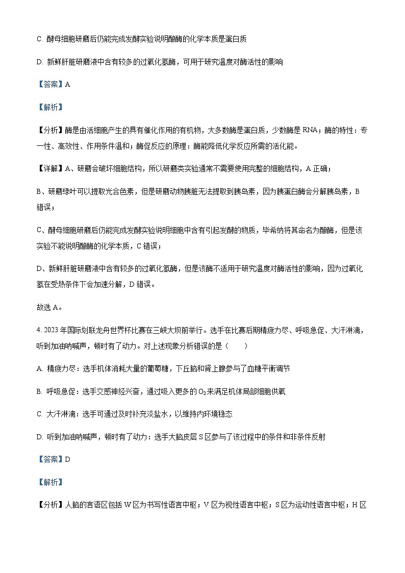 湖北省潜江中学2023-2024学年高二上学期阶段性测试生物试题 Word版含解析第3页