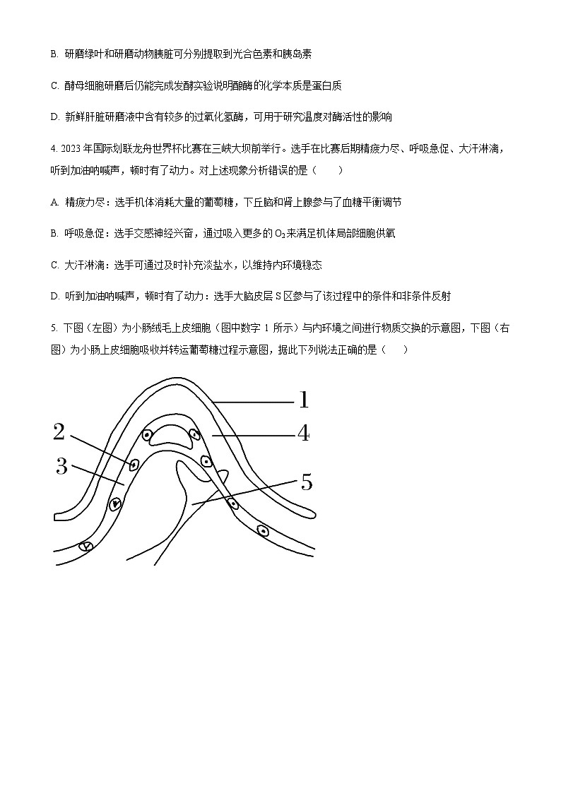 湖北省潜江中学2023-2024学年高二上学期阶段性测试生物试题（原卷版）第2页