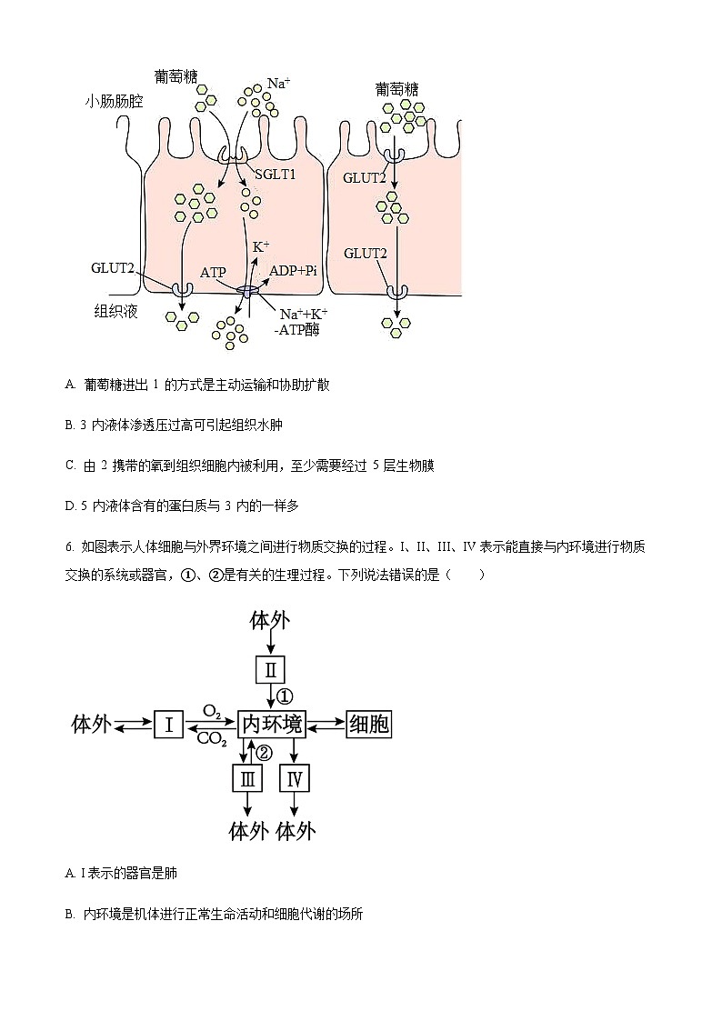 湖北省潜江中学2023-2024学年高二上学期阶段性测试生物试题（原卷版）第3页