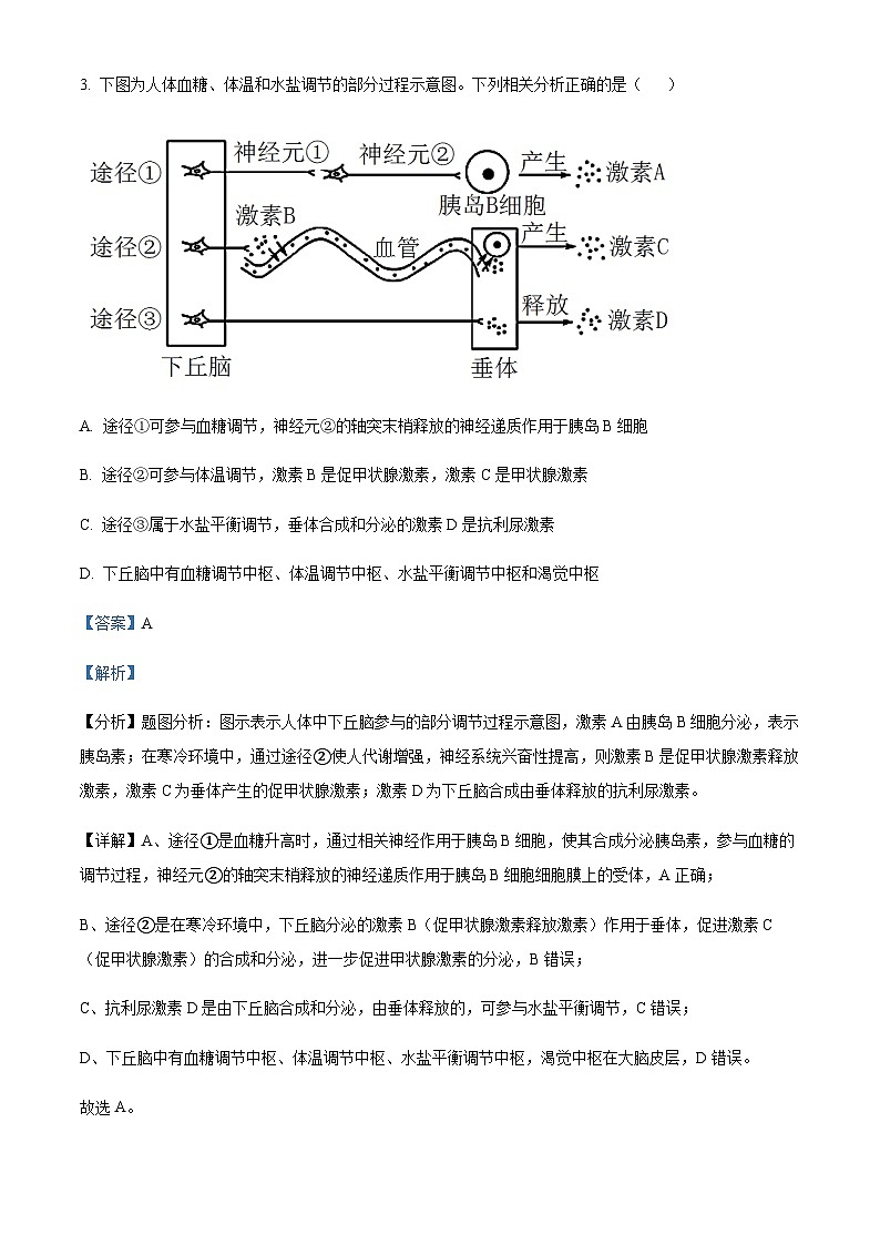 2023-2024学年江苏省盐城市响水中学高二上学期暑期检测生物试题含答案03
