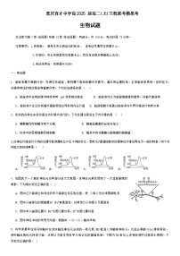 2023-2024学年重庆市育才中学等三校联考高二上学期11月模拟考试生物试题含答案