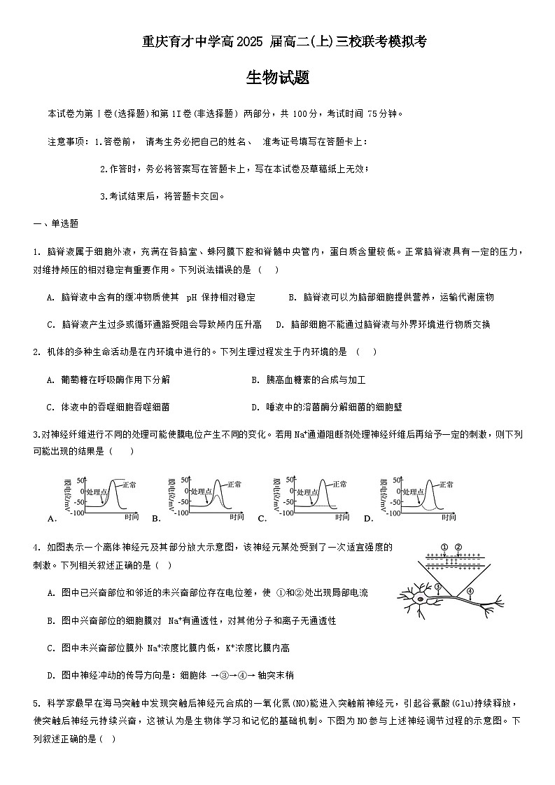 2023-2024学年重庆市育才中学等三校联考高二上学期11月模拟考试生物试题含答案01