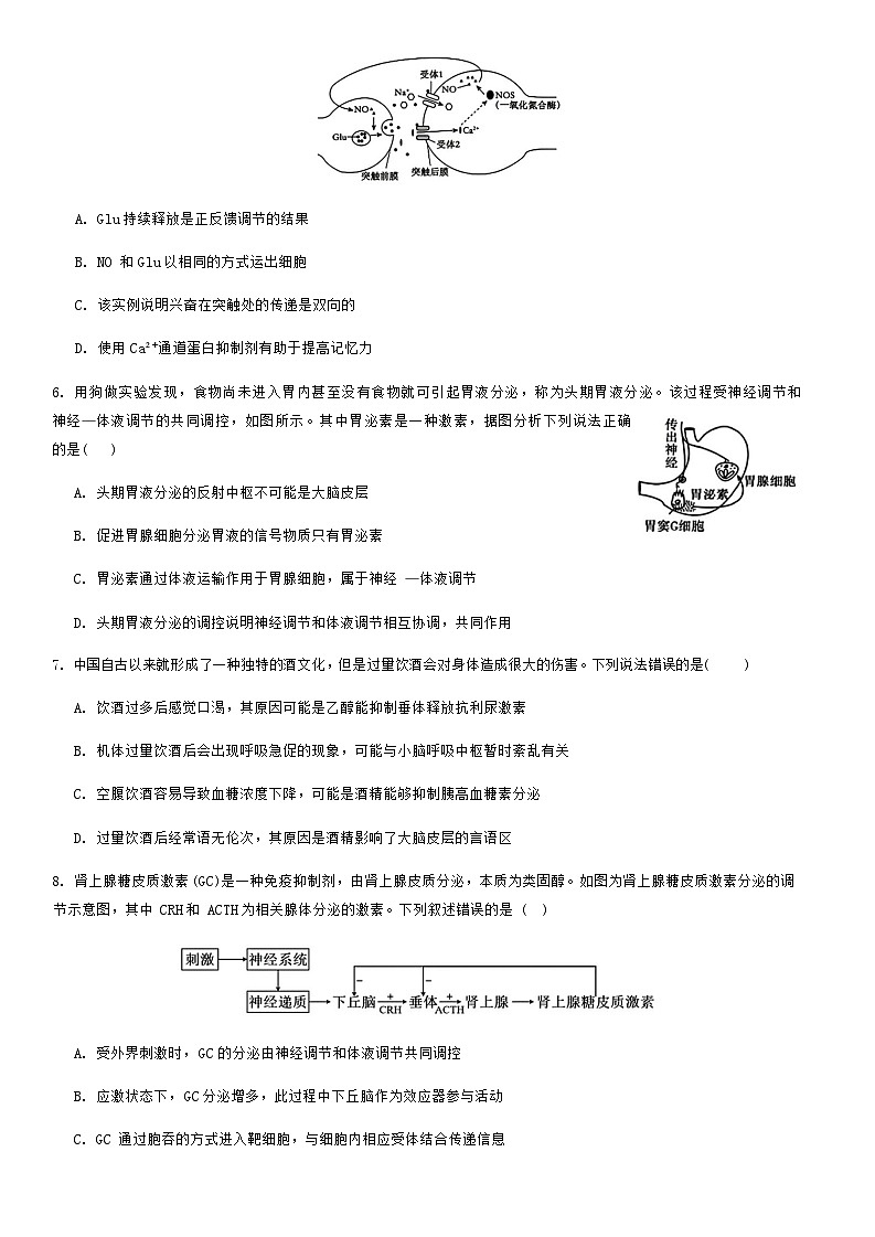 2023-2024学年重庆市育才中学等三校联考高二上学期11月模拟考试生物试题含答案02