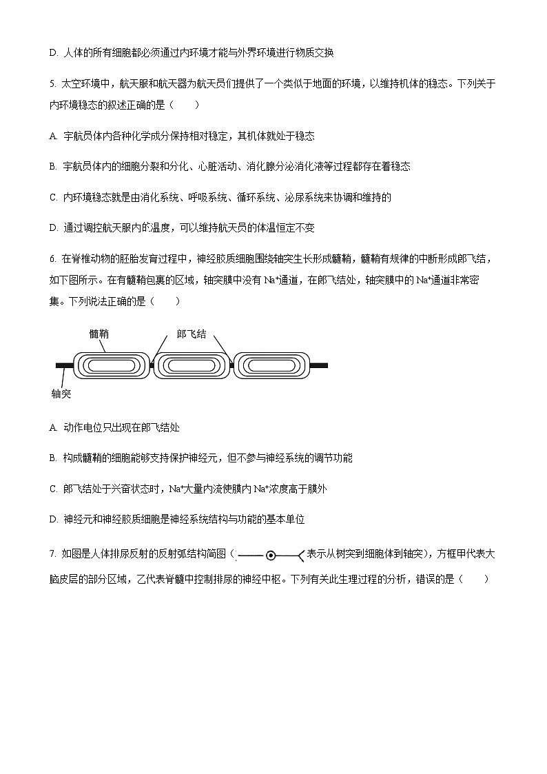 湖北省黄冈市部分高中2023—2024学年高二11月阶段考试生物试题  Word版无答案第3页