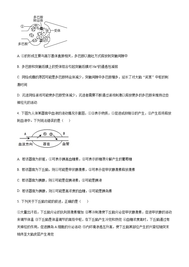 2023-2024学年甘肃省张掖市重点校高二上学期9月月考生物试题含答案02