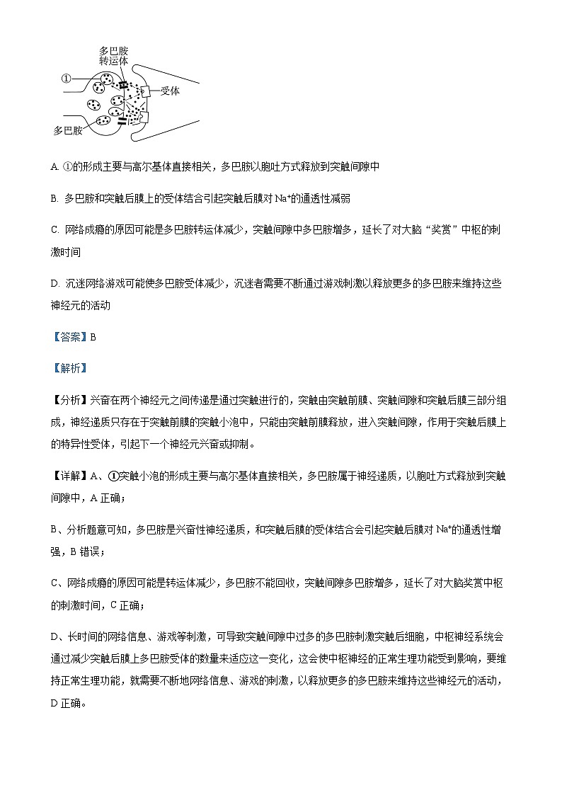 2023-2024学年甘肃省张掖市重点校高二上学期9月月考生物试题含答案03