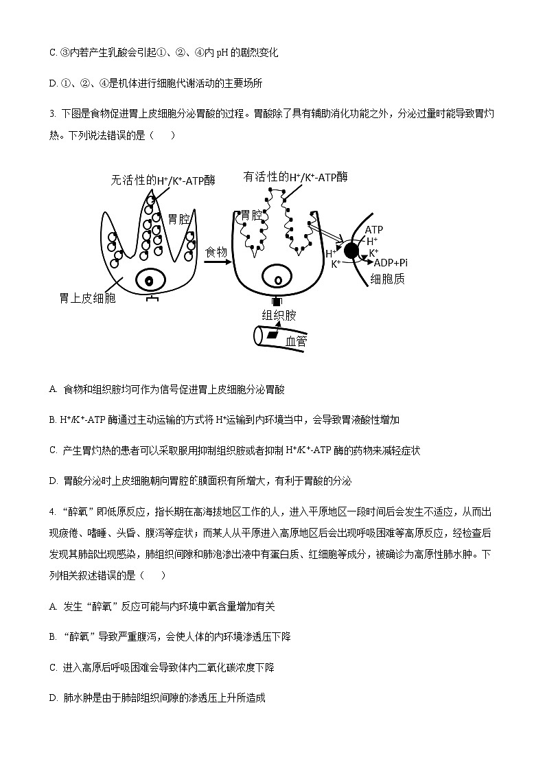 2023-2024学年湖北省荆州市沙市中学高二上学期9月月考生物试含答案02