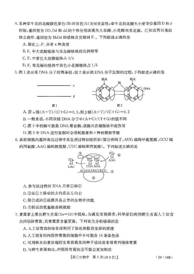 2023-2024学年河南省创新发展联盟高二上学期开学考试生物试题PDF版含答案02