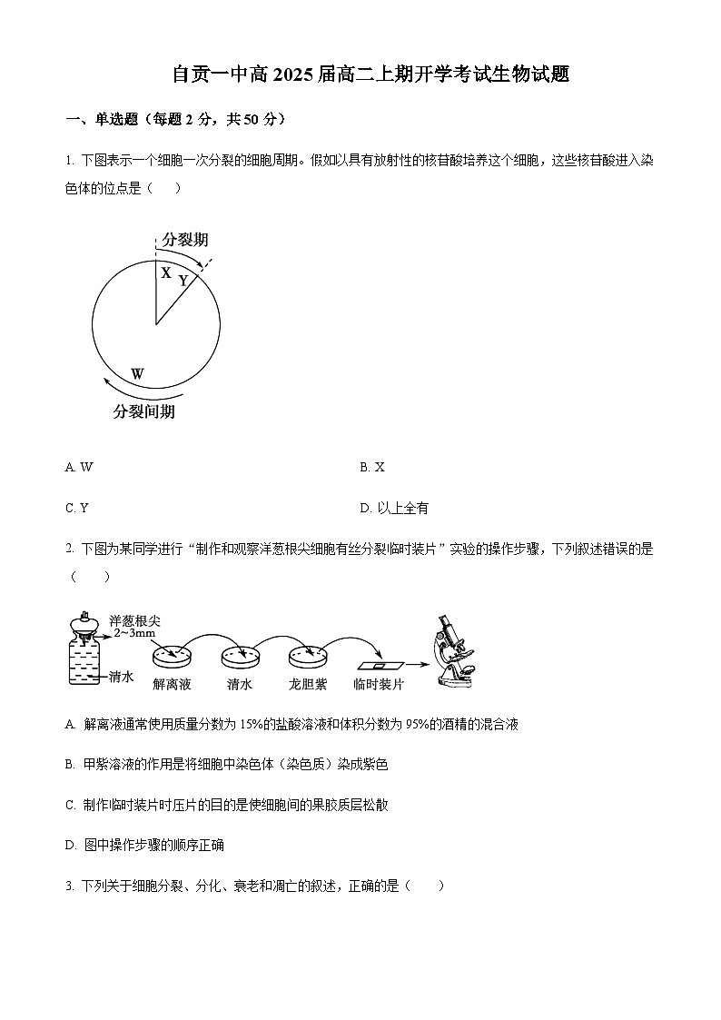 2023-2024学年四川省自贡市第一中学高二上学期开学考试生物试题含答案01