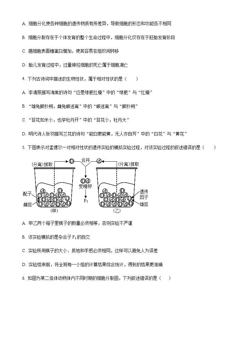 2023-2024学年四川省自贡市第一中学高二上学期开学考试生物试题含答案02