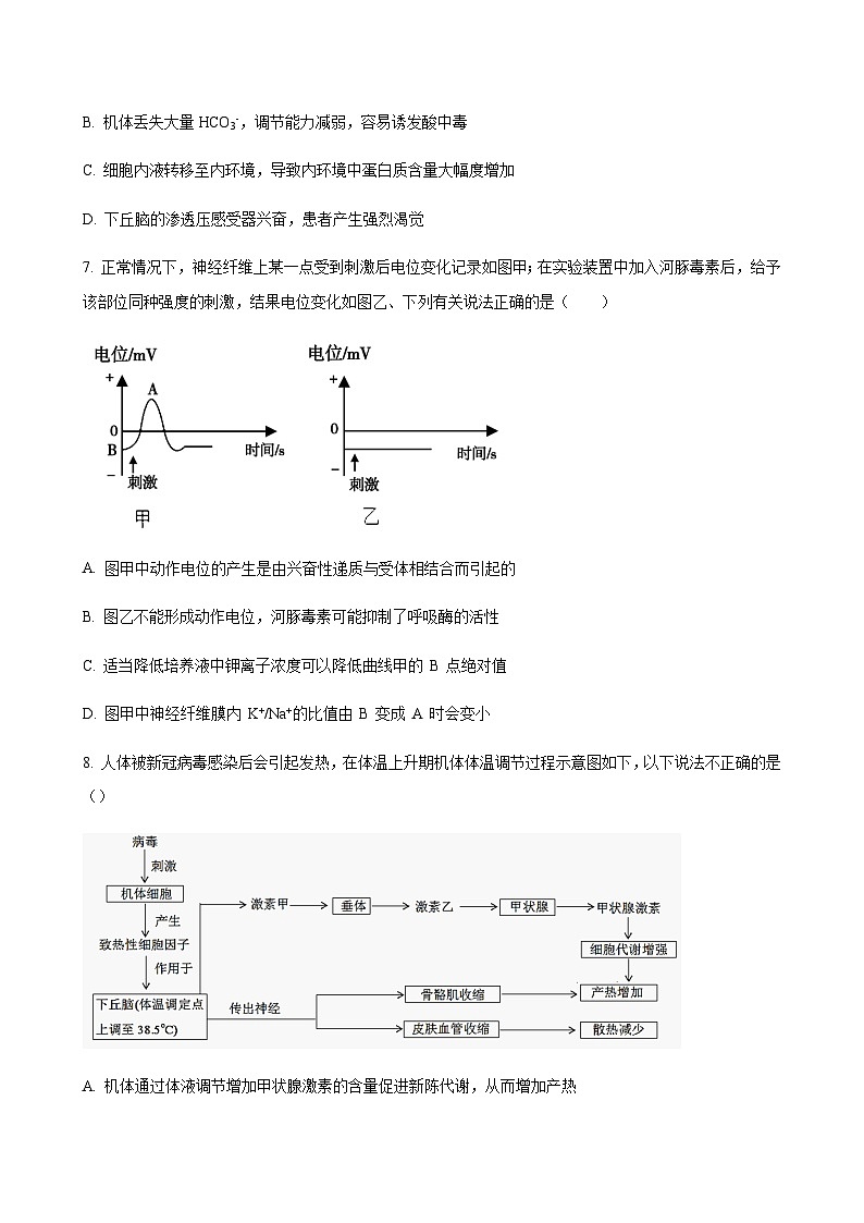 2023-2024学年吉林省四平市实验中学四校联考高二上学期10月月考生物word版含答案03
