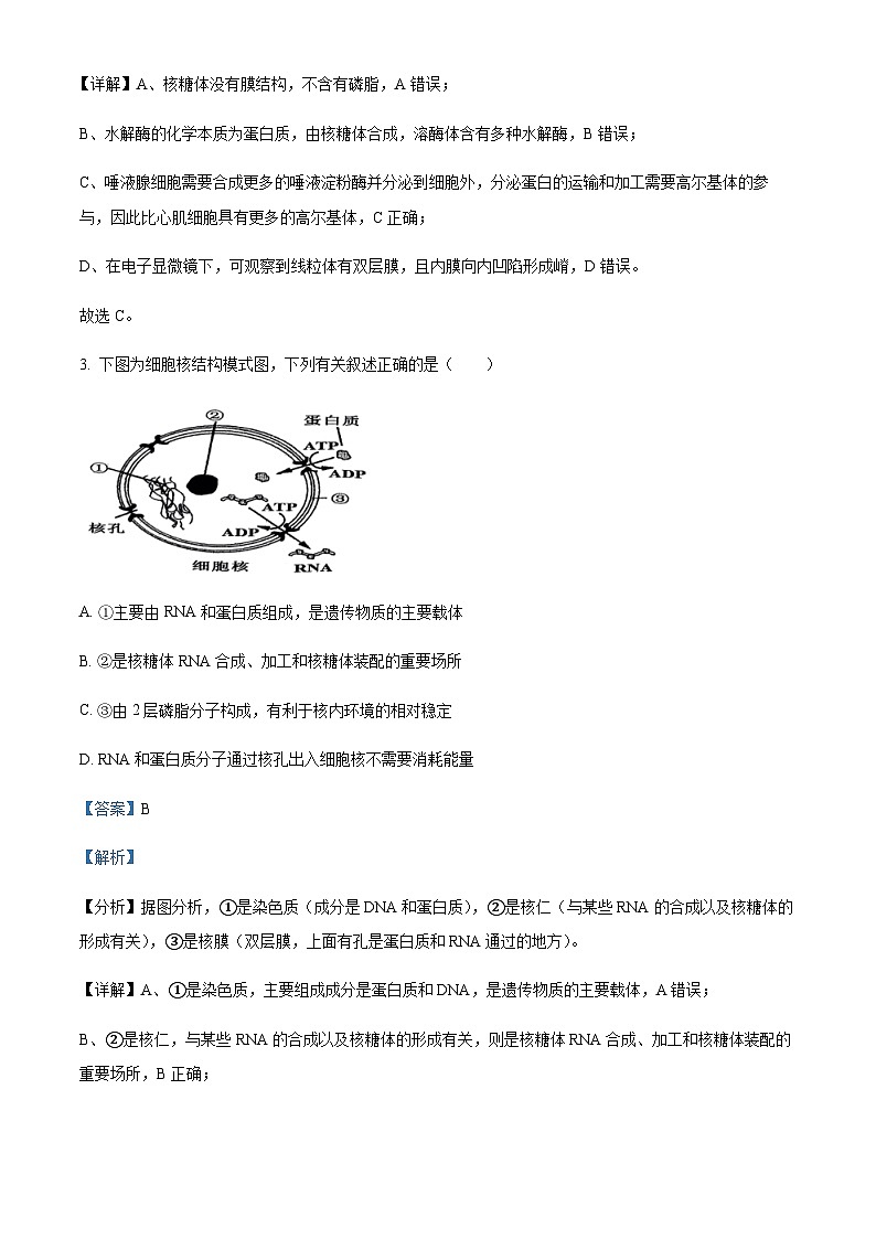 2023-2024学年浙江省杭州市高中四校高二上学期10月联考生物试题含答案03
