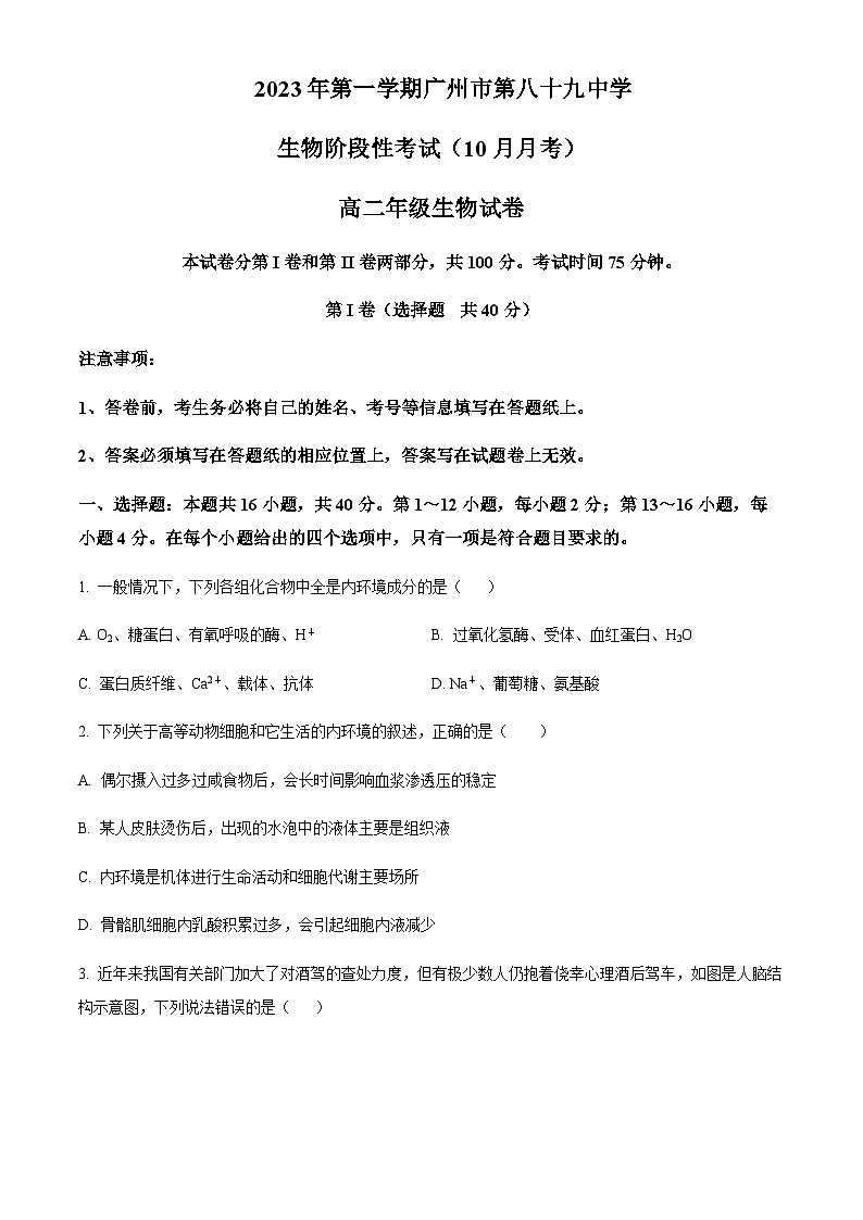 广东省广州市八十九中2023-2024学年高二10月月考生物试题（原卷版）第1页