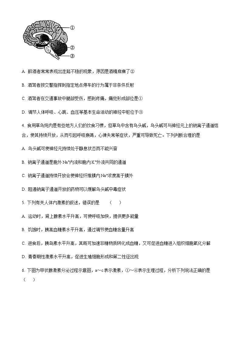 广东省广州市八十九中2023-2024学年高二10月月考生物试题（原卷版）第2页