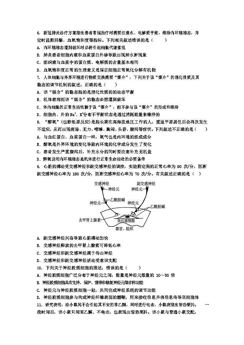 湖北省武汉市武钢三中2023-2024学年高二上学期10月月考生物试题第2页