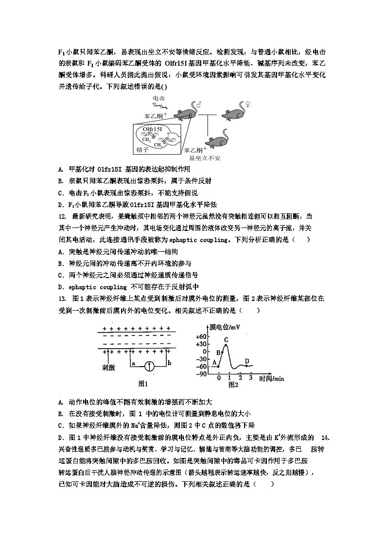 湖北省武汉市武钢三中2023-2024学年高二上学期10月月考生物试题第3页