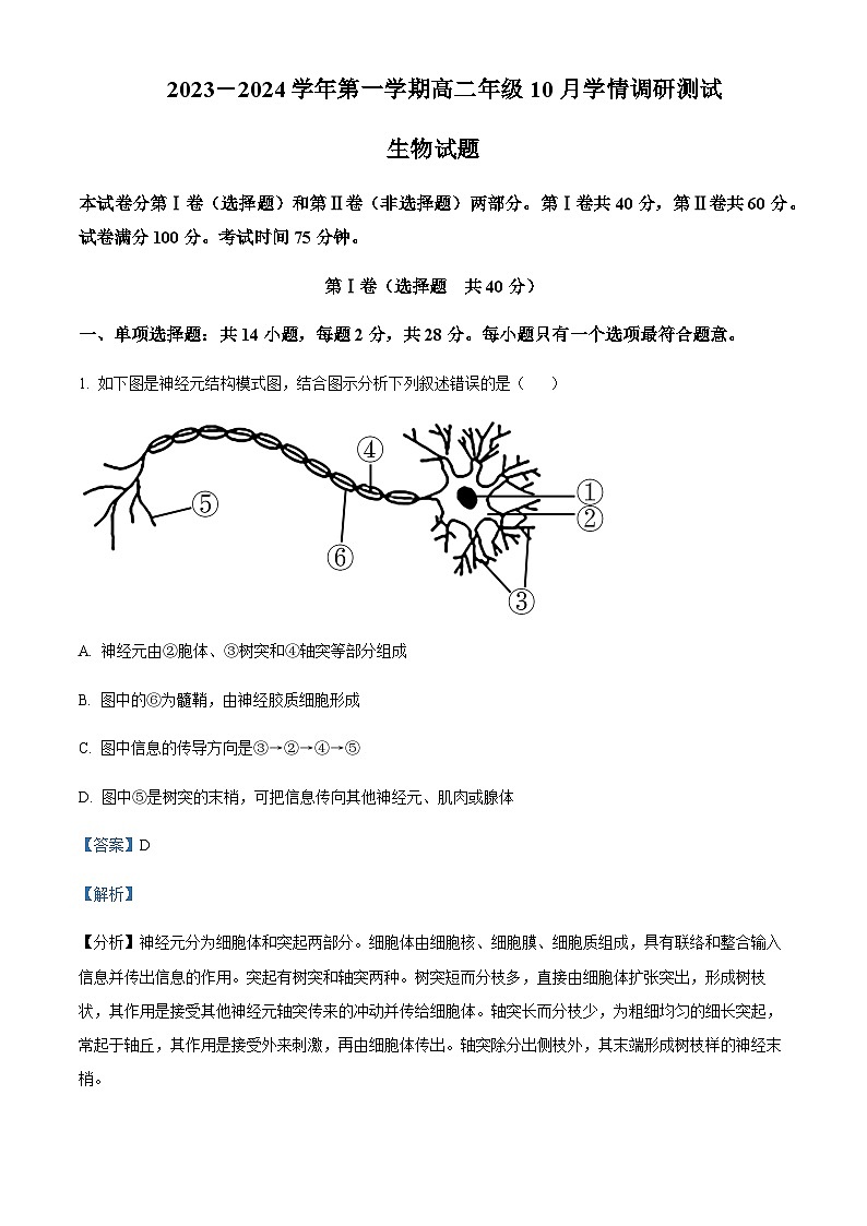 2023-2024学年江苏省扬州市高邮市一中高二上学期10月月考生物试题含答案01