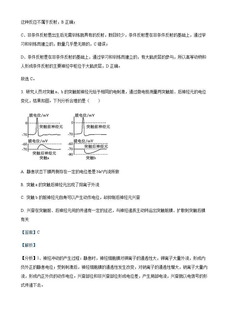 2023-2024学年江苏省扬州市高邮市一中高二上学期10月月考生物试题含答案03