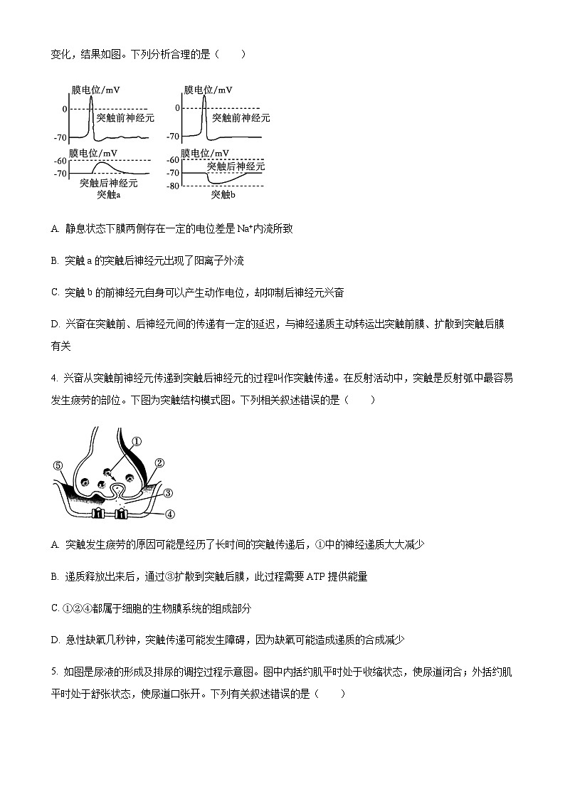 2023-2024学年江苏省扬州市高邮市一中高二上学期10月月考生物试题含答案02