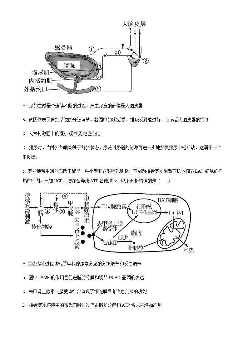 2023-2024学年江苏省扬州市高邮市一中高二上学期10月月考生物试题含答案03