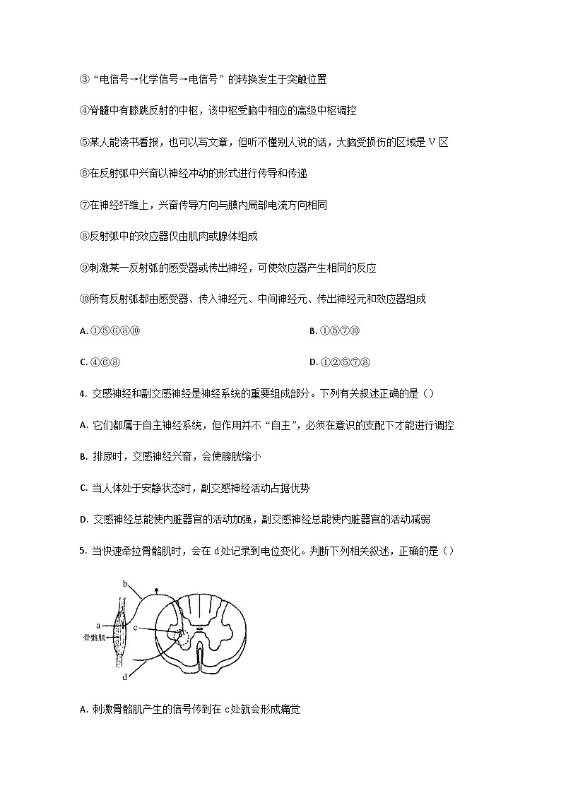 山东省鄄城县第一中学2024届高二上学期10月月考生物试题第2页
