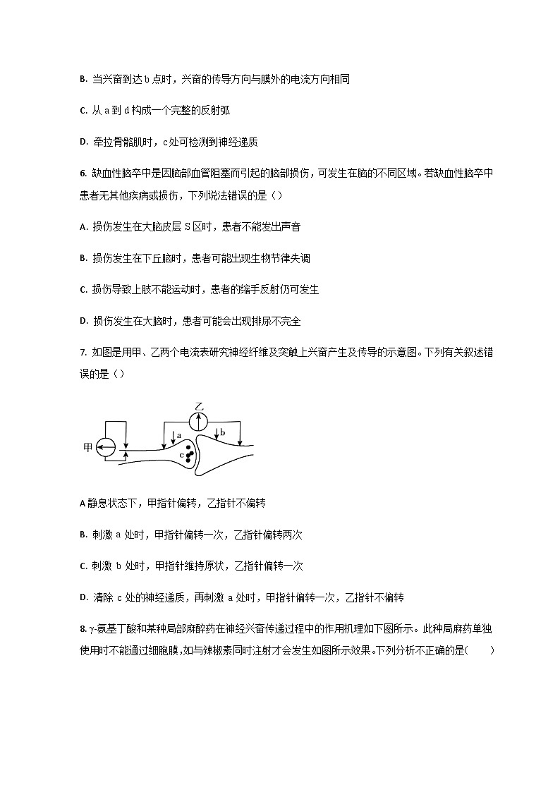 山东省鄄城县第一中学2024届高二上学期10月月考生物试题第3页