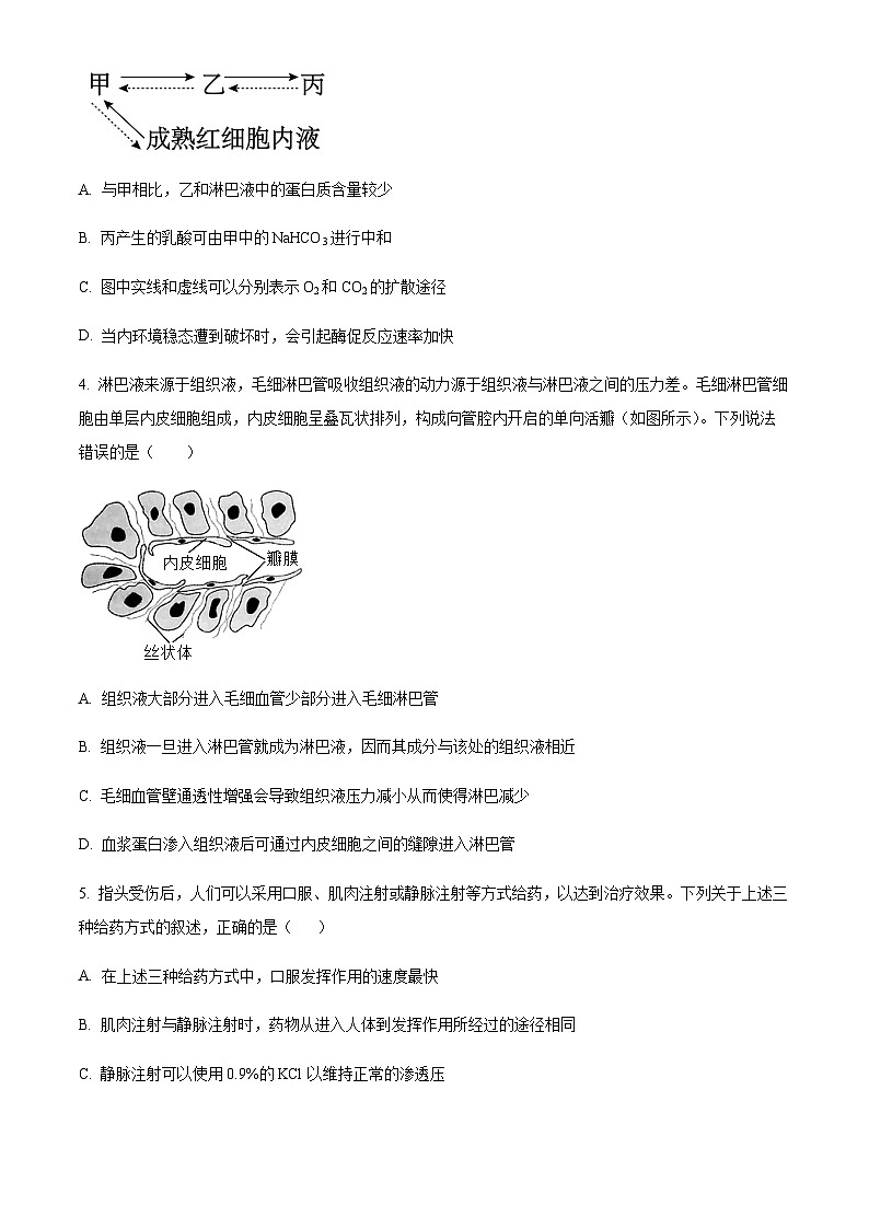 四川省成都市七中2023-2024学年高二10月月考生物试题（原卷版）第2页