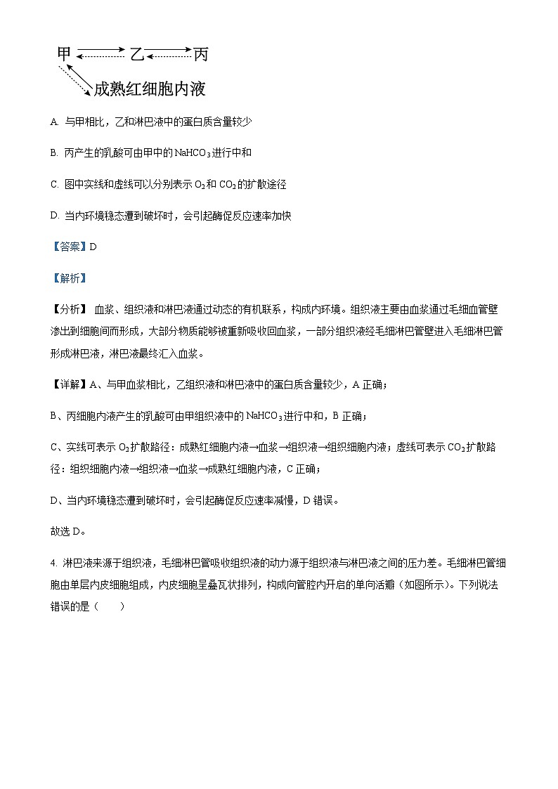四川省成都市七中2023-2024学年高二10月月考生物试题 Word版含解析第3页