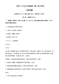 2023-2024学年四川省泸县第一中学高二上学期10月月考生物试题含答案