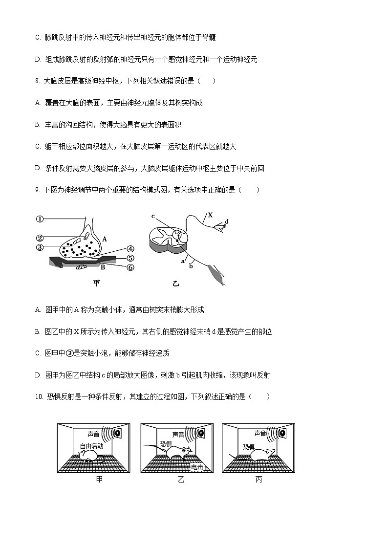 2023-2024学年四川省宜宾市南溪一中高二上学期10月月考生物试题含答案03
