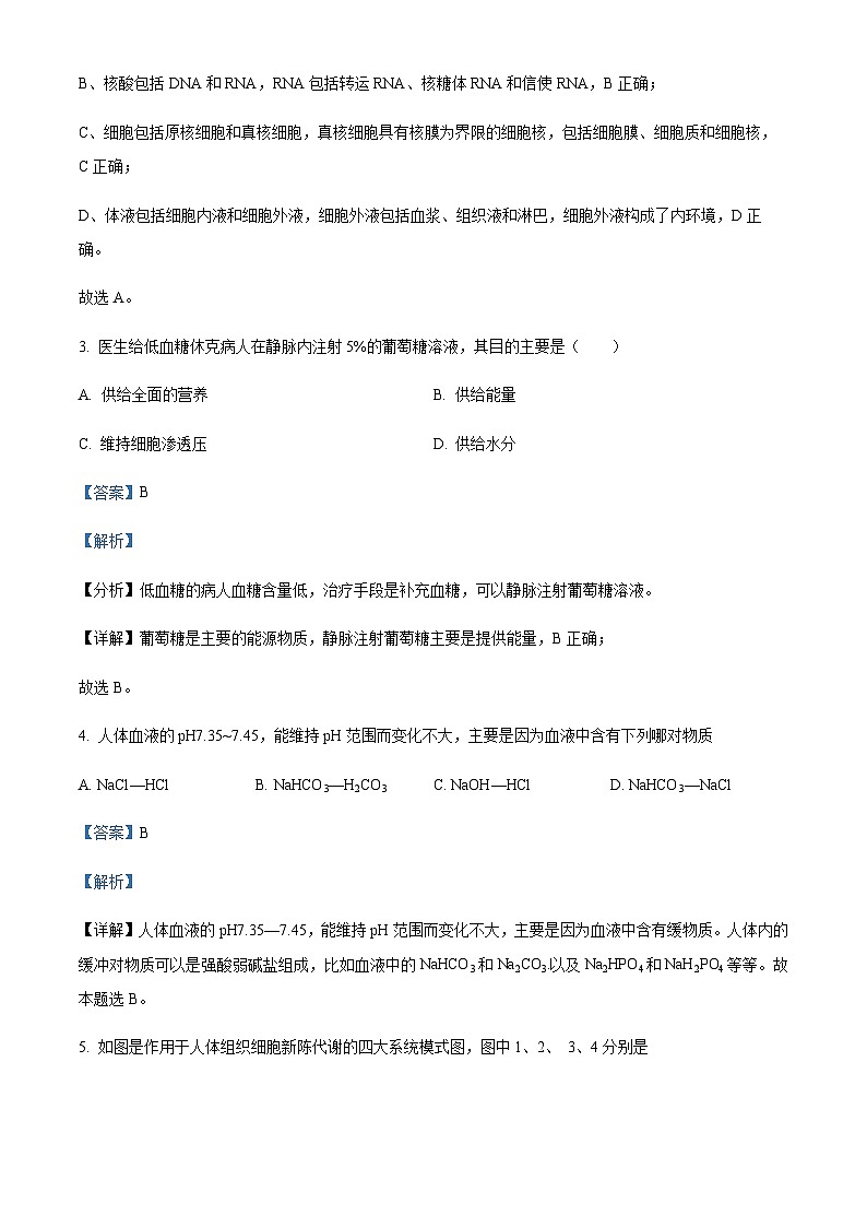 四川省宜宾市叙州区一中2023-2024学年高二10月月考生物试题 Word版含解析第3页